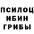 Галлюциногенные грибы Psilocybine cubensis Horomy