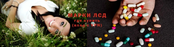 ПСИЛОЦИБИНОВЫЕ ГРИБЫ Нязепетровск